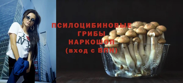 эйфоретик Михайловск
