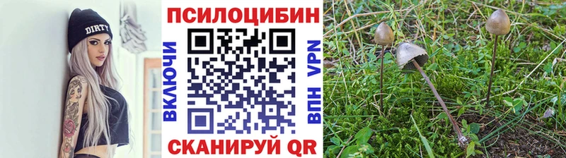 Псилоцибиновые грибы GOLDEN TEACHER  как найти   Дмитриев 